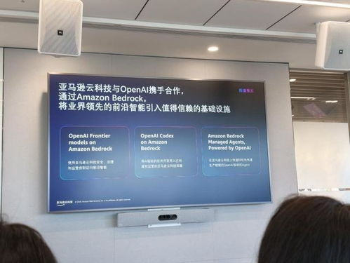 深耕Agentic AI赛道”，亚马逊云科技如何用产品矩阵重构企业生产力？